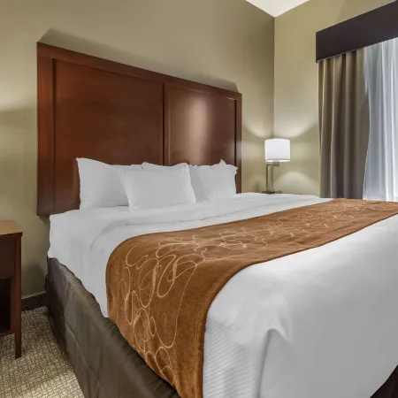 Comfort Suites Bridgeport - Clarksburg
