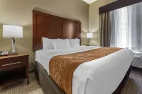 Comfort Suites Bridgeport - Clarksburg