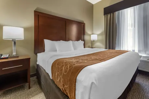 Comfort Suites Bridgeport - Clarksburg