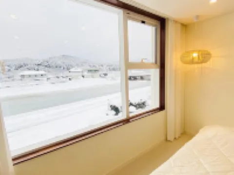 ยังยัง สเตย์ดาโร