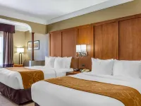Comfort Suites Plainview プレーンビューのホテル