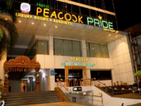 Hotel Peacock Pride Hotels in Karimnagar