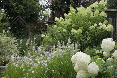 Hana Shichiyo Cottage Отели в г. уезд Сорати