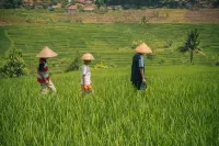 Villa Cetok Hotels in Cicalengka