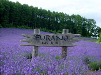 ホテル周辺 旭川トーヨーホテルの写真