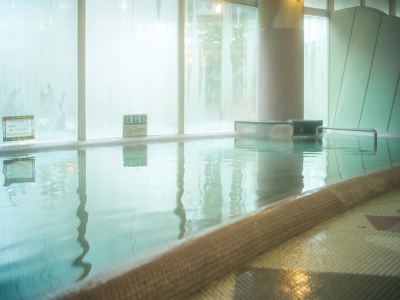 屋内プール 白神山地　ホテルゆとりあ藤里の写真