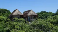 Vilanculos Beach Lodge Hotels in 
