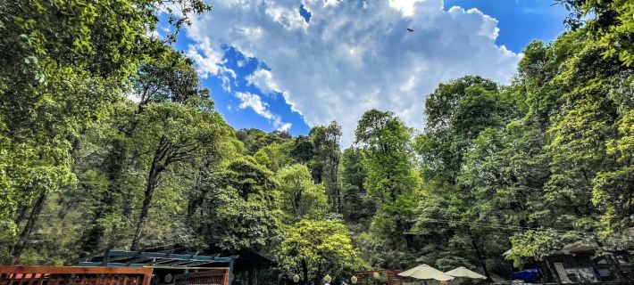 Ayar Jungle Resort Hotels in Nainital
