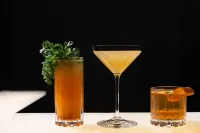 Glass Light Hotel & Gallery, Autograph Collection - bar