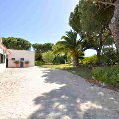 Close to Beaches and All Amenities, Private Pool, Free AC and Wifi Hotel Exterior