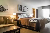 Sleep Inn & Suites East Syracuse Hotels in Cicero