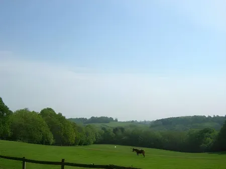 Little Tidebrook Farm Отели в г. Тисхерст