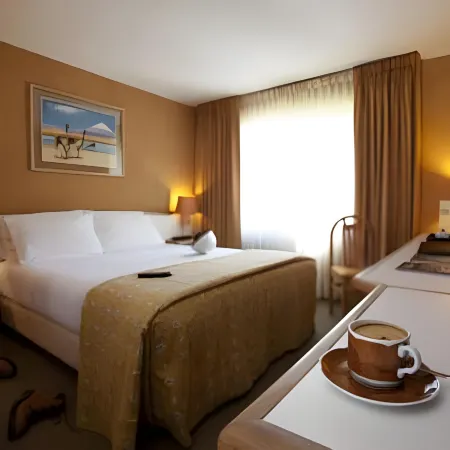 Park Hotel Calama
