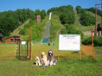 Condominium Flatlet Kusatsu