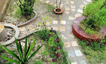 All Inclusive Yoga Retreat in Niru Yoga Homestay