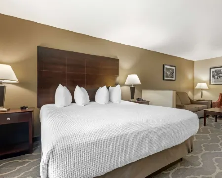 伯利森貝斯特韋斯特優質套房酒店 約翰遜縣酒店