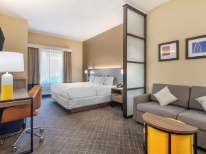 Comfort Suites McKinney-Allen