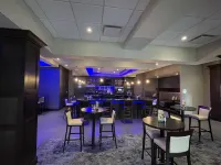 法明頓希爾斯-底特律西北假日酒店 - 酒吧