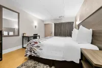 坦帕集市廣場 紅頂飯店