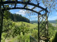 Double Room Apple Blossom Hotels in Schuttertal