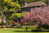 Bellis Inn