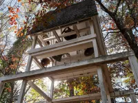 Authentic log cabin nestled in the woods by creek Hotels in Rutherford County