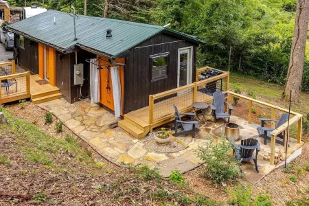 Modern cabin retreat with serene outdoor oasis