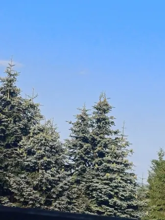 Secluded Little hideaway in the  beautiful mountains of Llanwonno. Отели в г. Понтипридд