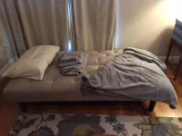 Sunny Coach House in Historic Oak Park