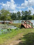 Cozy Cabins in Big Sandy