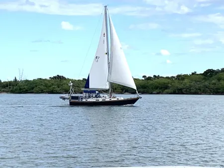 Intercostal paradise 🐬 🏖️ Romantic getaway🏝️