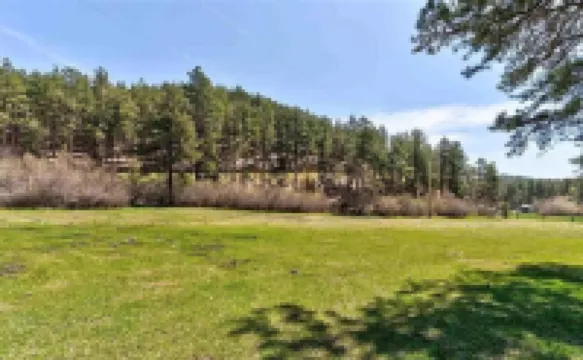 The Meadow Inn - Secluded Central Black Hills Cabin!  WiFi!