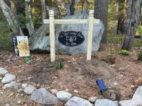 Bee-Themed Stay Near Boston – A Sweet and Unique Getaway Hotels in Billerica