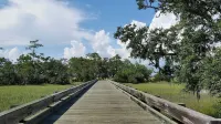Breathtaking Salt Marsh Views & Sunsets & Kayaking with Dolphins