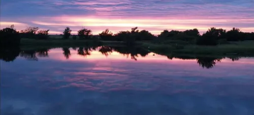 Meadowlark Cabin 코피 카운티 호텔