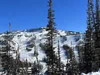 Cozy Condo Mountain Escape