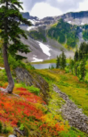 Cozy Birch Bay Spring Break • Hot Tub • 205