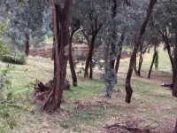 Frogsong Strawbale Cottage BLUE ID p7318970