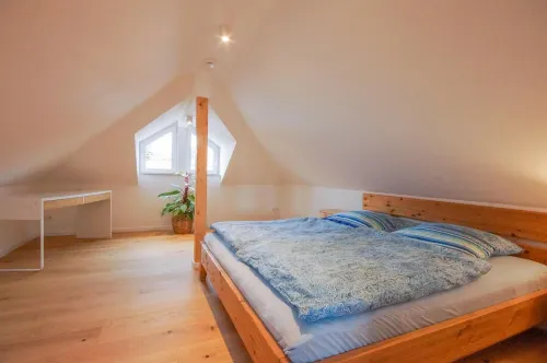 Moderne, Helle Wohnung