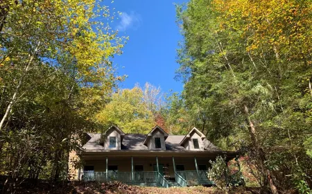 Waterfall House near Brevard, NC - Waterfalls and stream - Close to Asheville