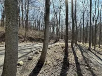 Secluded cozy cabin with modern amenities/hot tub/pet friendly/wifi