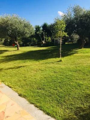 Nice two-room apartment with large garden with green lawn and vegetation