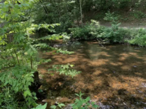 Tiny home only 1 mile from Vogel State Park! The Gray Loft Reece Farm Village