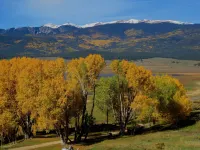 Mountainside Chalet with Views! Private 2 Acres. 4Beds, 3 Baths 2 Master Suites.