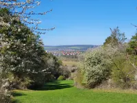 FEWO in Hünfeld/Mackenzell View of the beautiful Rhön region Hotels in Hunfeld