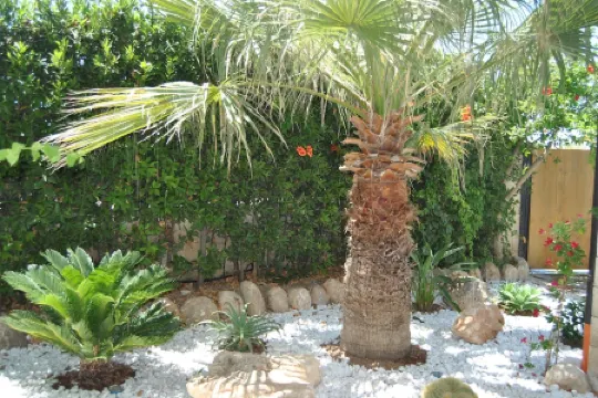 Two Apartments in the Villa