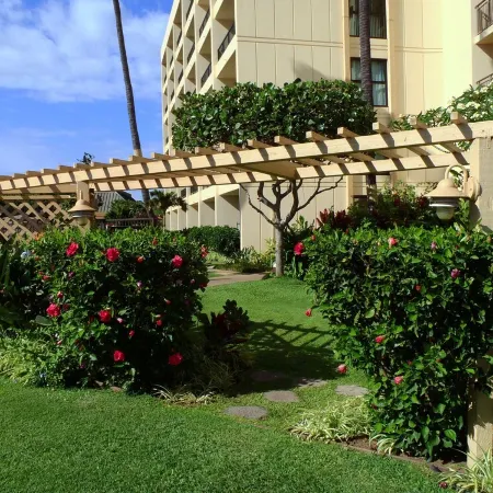 Fabulous Beachfront Property - Ground Floor Corner Unit Steps to the Beach!