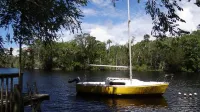 A Nature Lover's Paradise - Aucilla River St. Marks National Wildlife Refuge