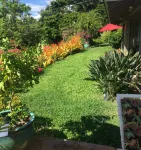 Honeymooner's Delight, Private Pool & Property,Ocean Views, close to beach.