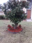 Bright Luxury 6BR/3.5BA Near Disney Peaceful Trail Getaway Family Friendly Oasis Hotels near Christ Sanctified Church